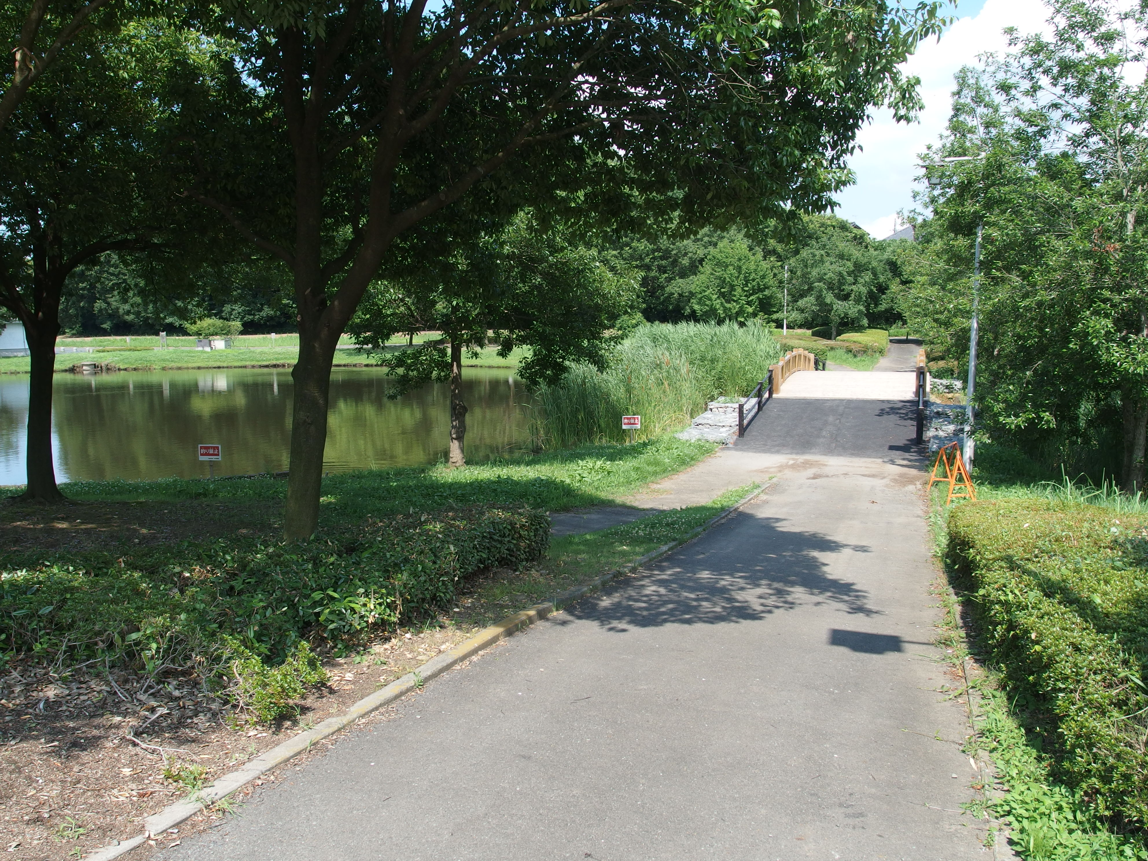 きぬ総合公園　池１