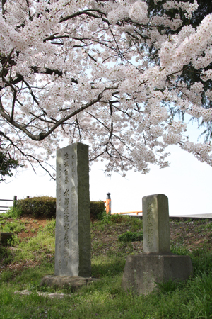 御城公園 水彩記念碑 桜小の画像