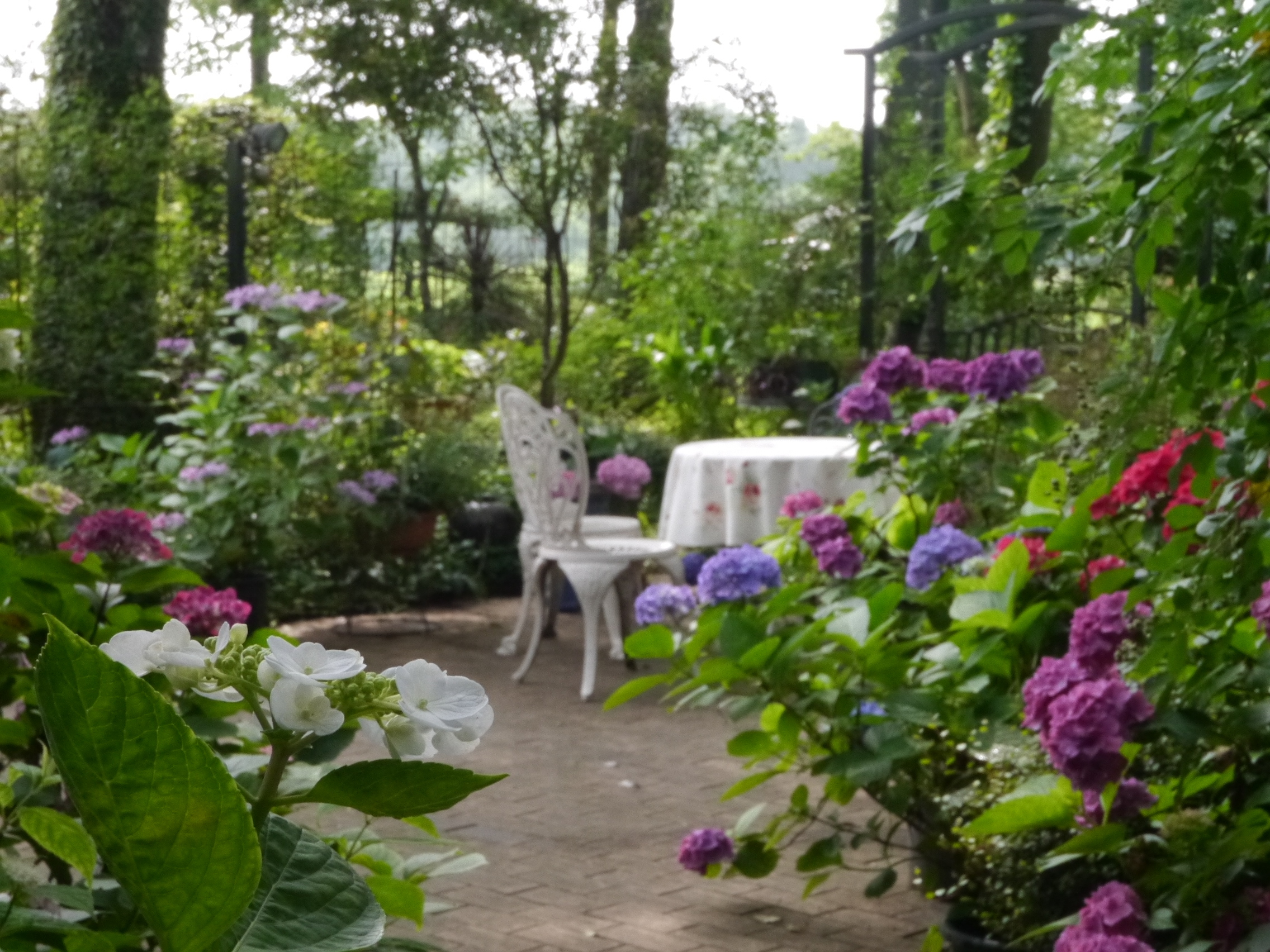 The Natural Gardens of Sakano