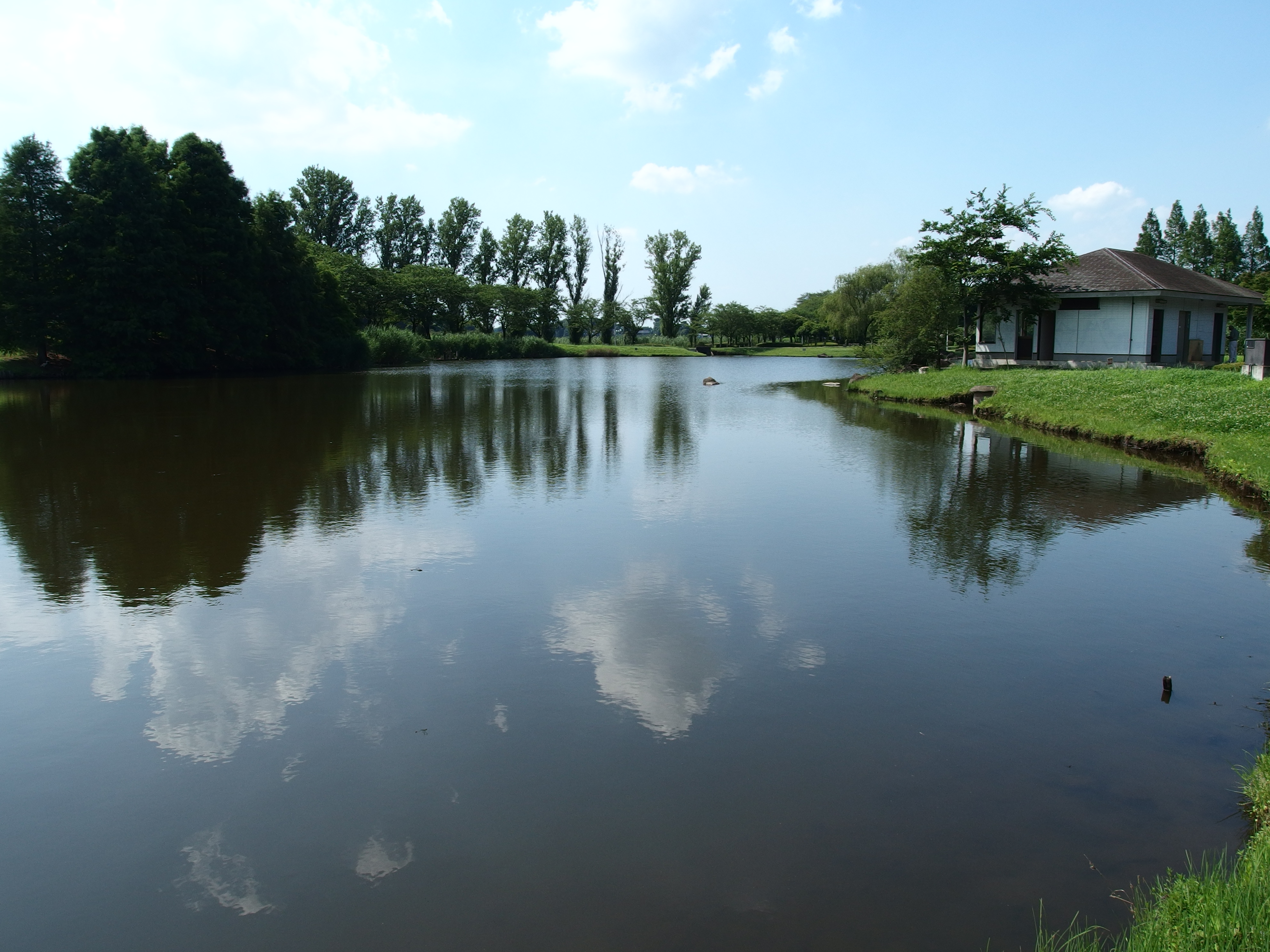 きぬ総合公園　池２