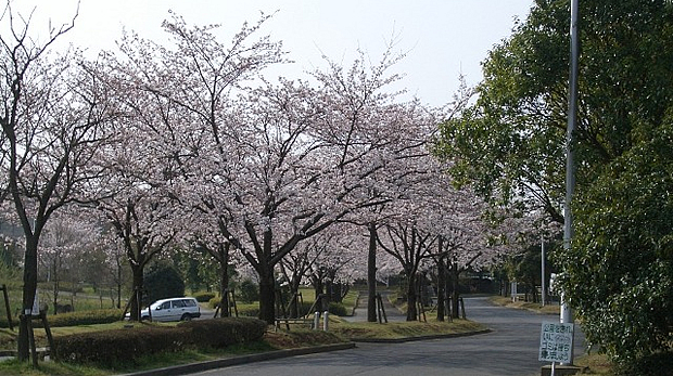 きぬ総合公園01